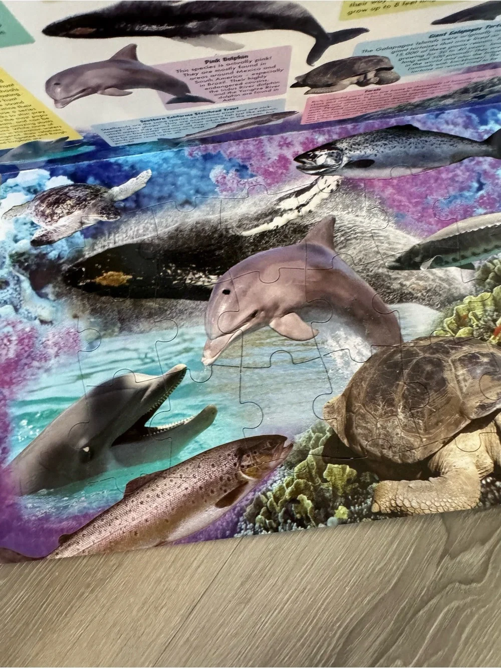 Animal treasures large puzzle book featuring endangered animals